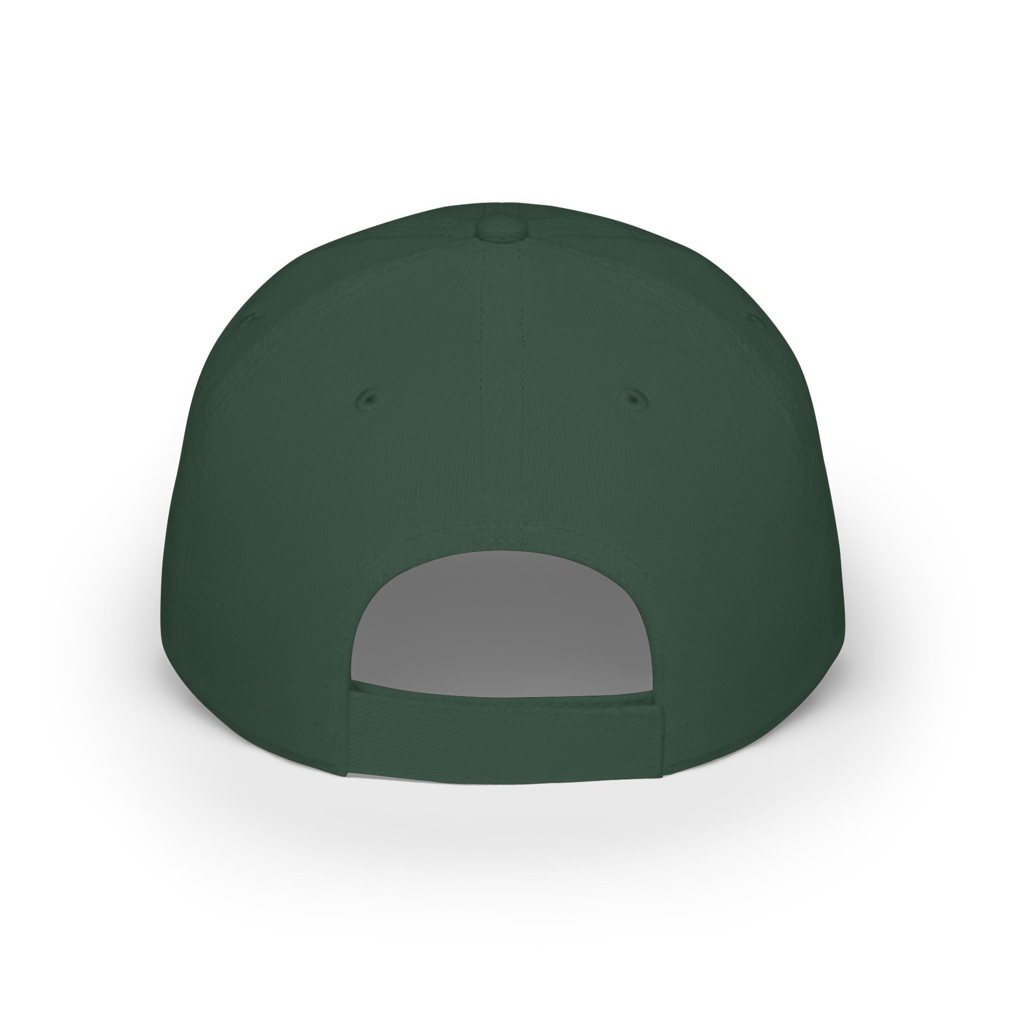 Low Profile Baseball Cap — Rollin Dog LLC "Dog Gone Delicious" Embroidered Hat