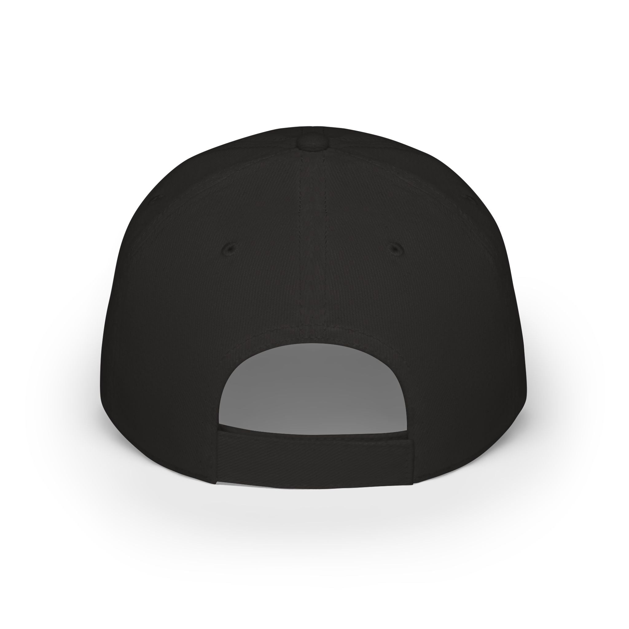 Low Profile Baseball Cap — Rollin Dog LLC "Dog Gone Delicious" Embroidered Hat