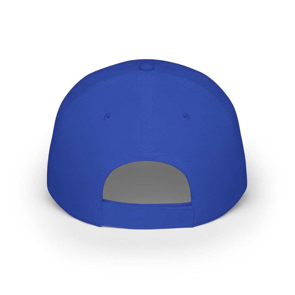 Low Profile Baseball Cap — Rollin Dog LLC "Dog Gone Delicious" Embroidered Hat