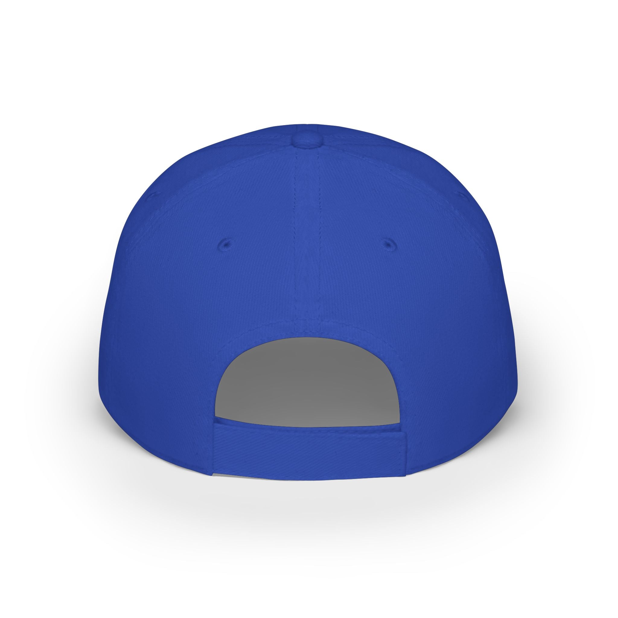 Low Profile Baseball Cap — Rollin Dog LLC "Dog Gone Delicious" Embroidered Hat